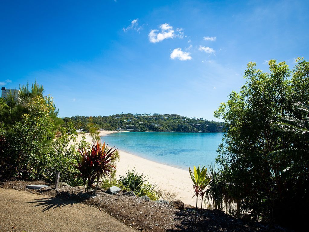 Frangipani 208 on the Beach Hamilton Island by Hamorent