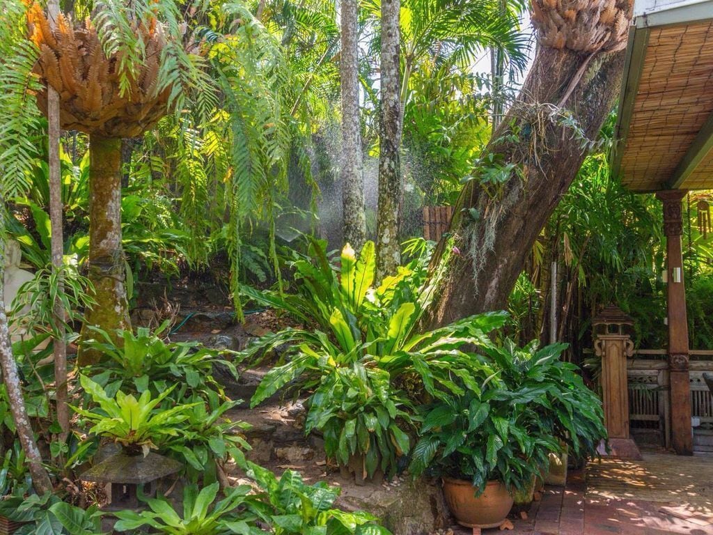 Unique, Tropical Rainforest Getaway