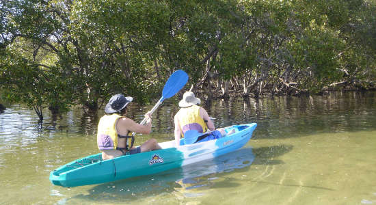 Brunswick River Nature Kayak Tour