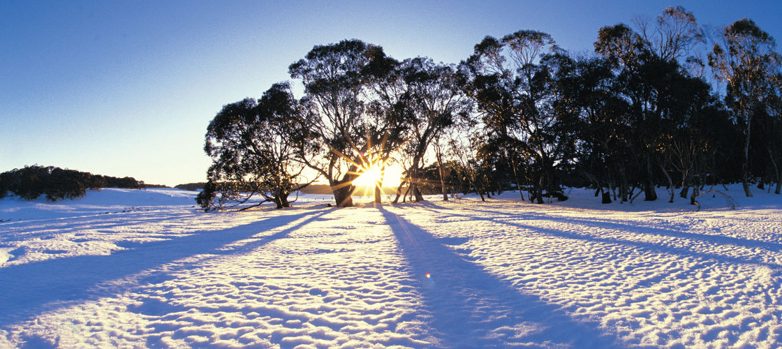 Full Day Lake Mountains Snow Tour from Melbourne