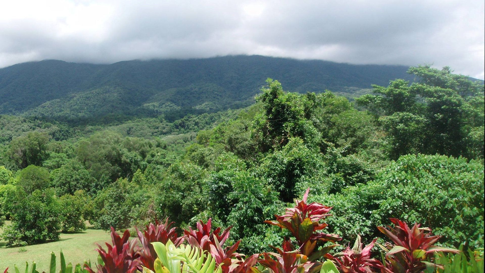 Shangri-la - Stunning Mountain Views