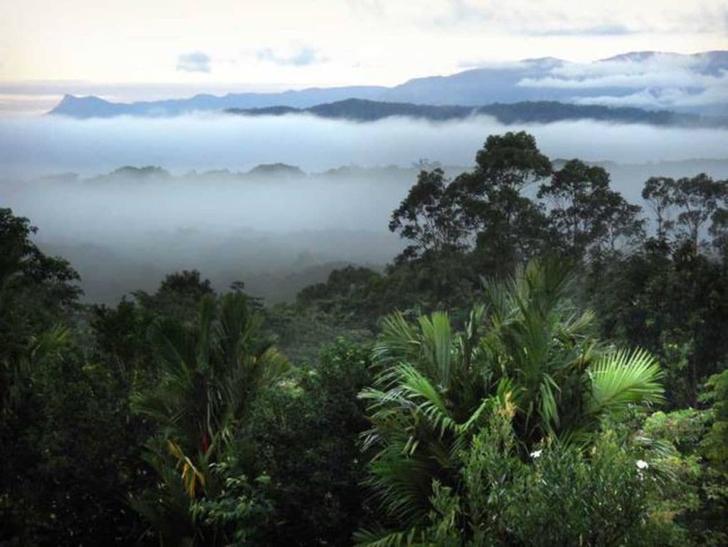 Daintree Valley Cottage