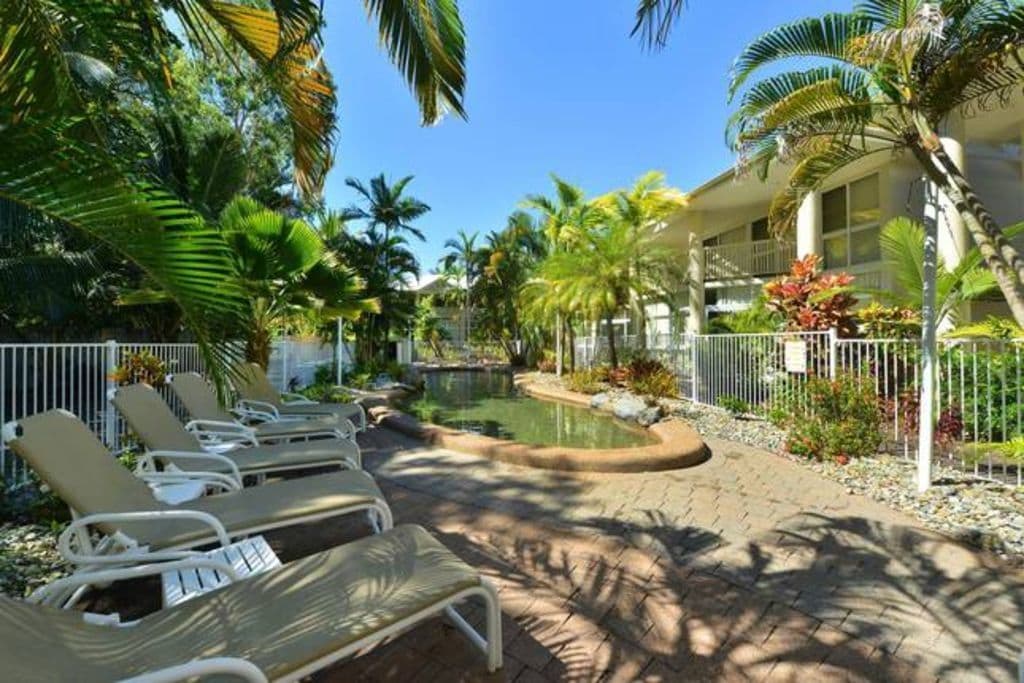 Tropical Palms at Port Douglas