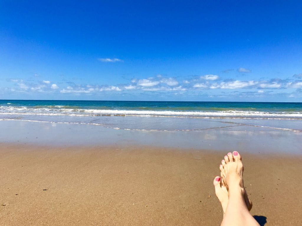 Daintree Magic Holiday House