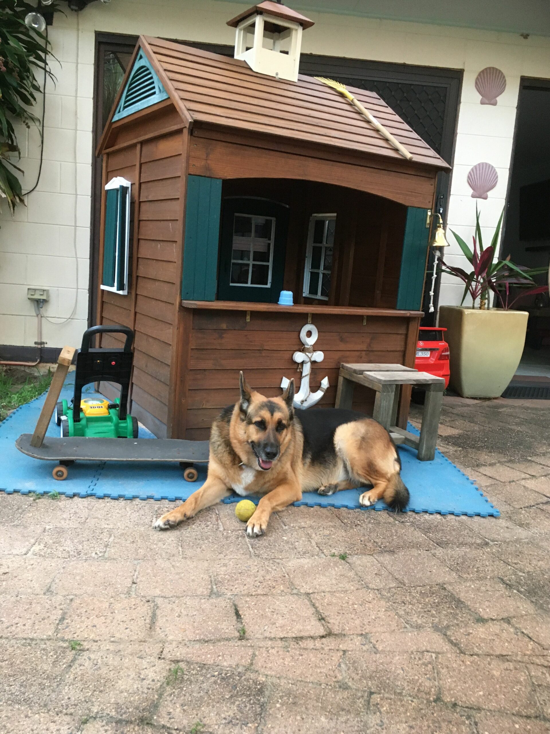 Pet & Child Friendly Home