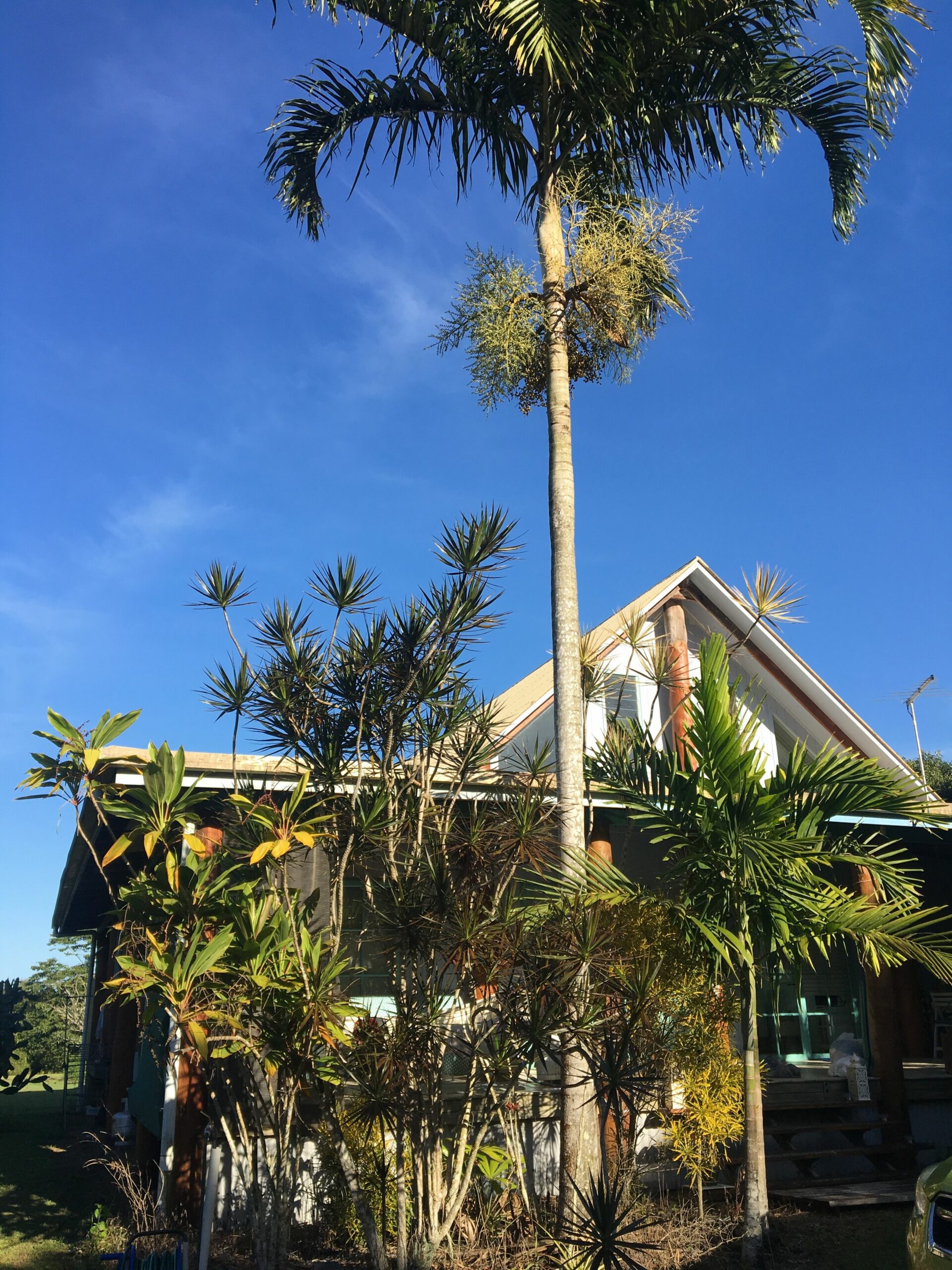 Tropical Pole Home Near the Beach