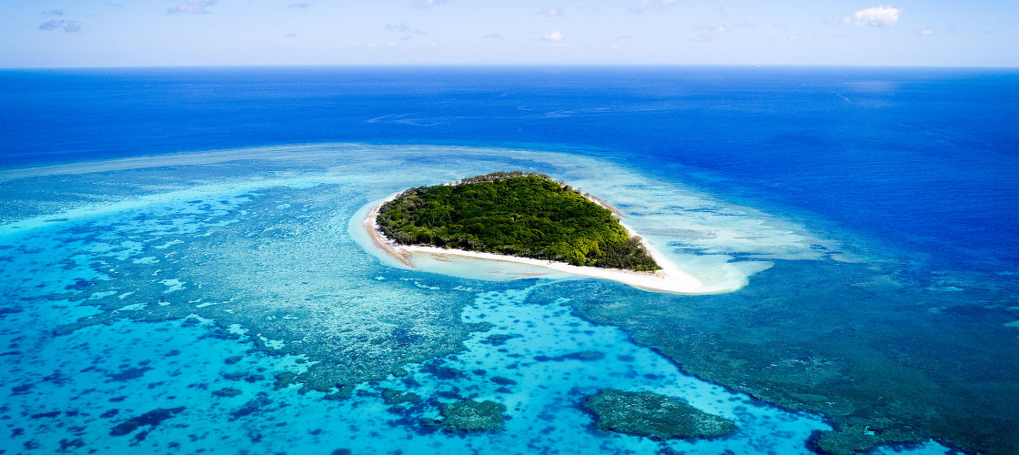 Lady Musgrave Island Day Trip From Bundaberg, Australia | Activities In ...