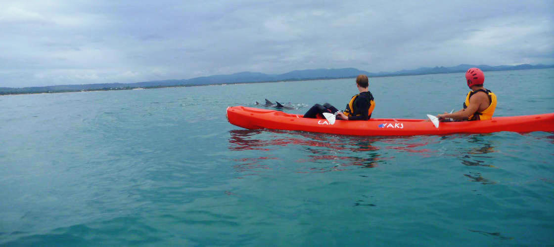 Byron Bay Dolphin Kayaking Tour