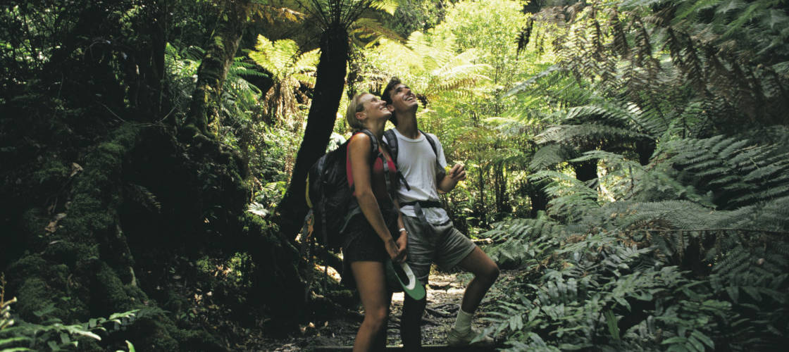 1 Day Blue Mountains & 3 Sisters Sunset Tour