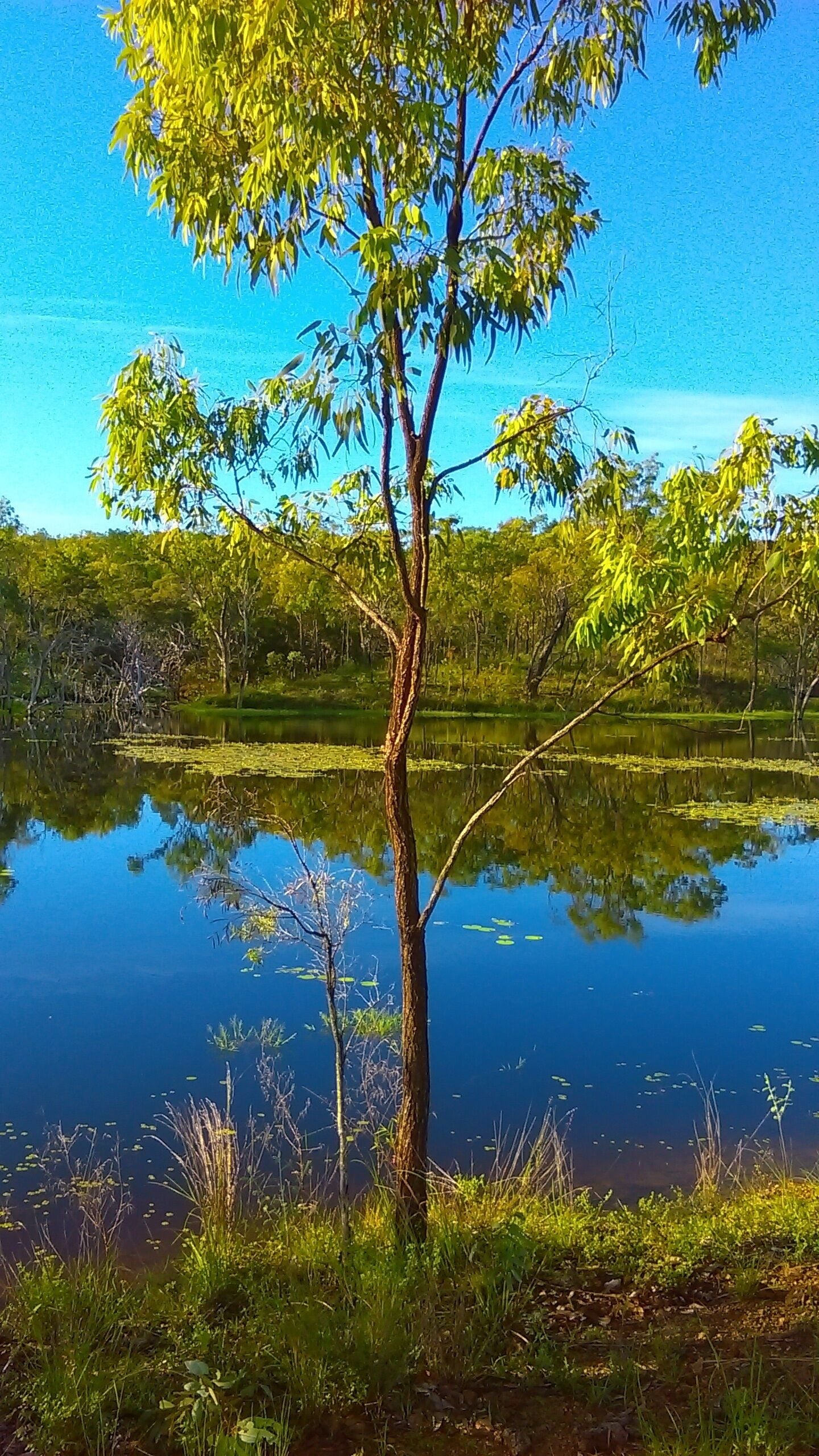 Ironbark House Dimbulah: Boutique Two Bedroom House looking over the Outback