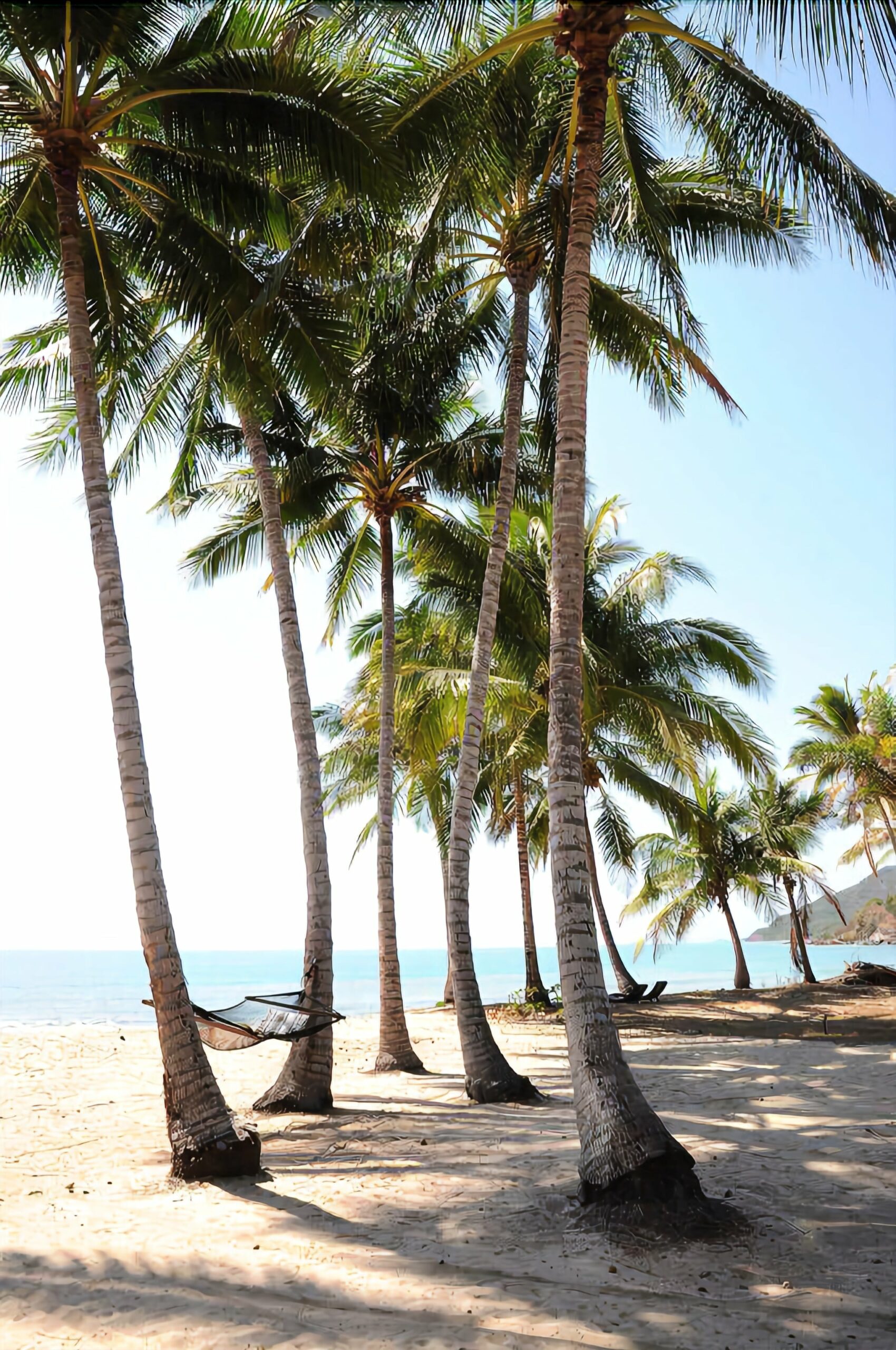 Thirty ONE Degrees - Oak Beach, QLD