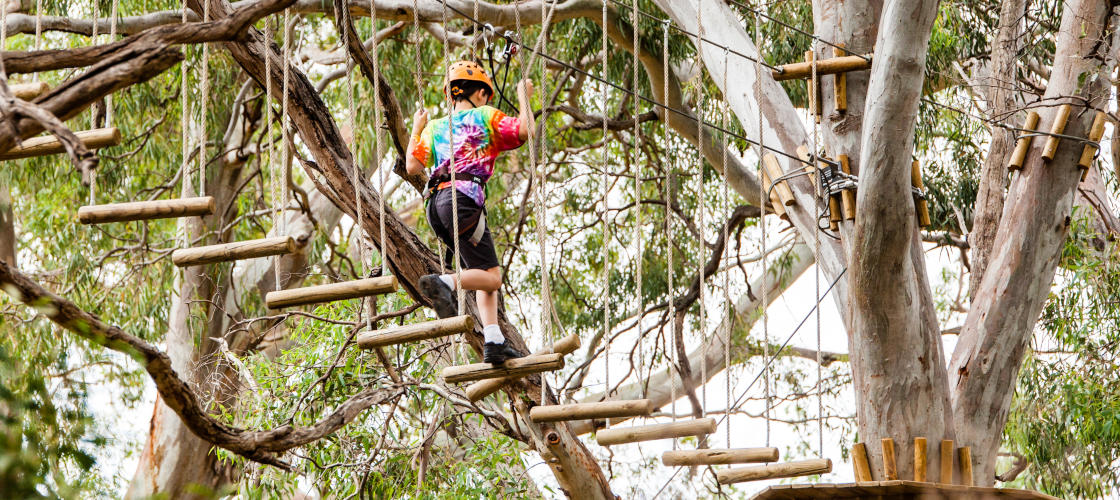 Adelaide TreeClimb Admission