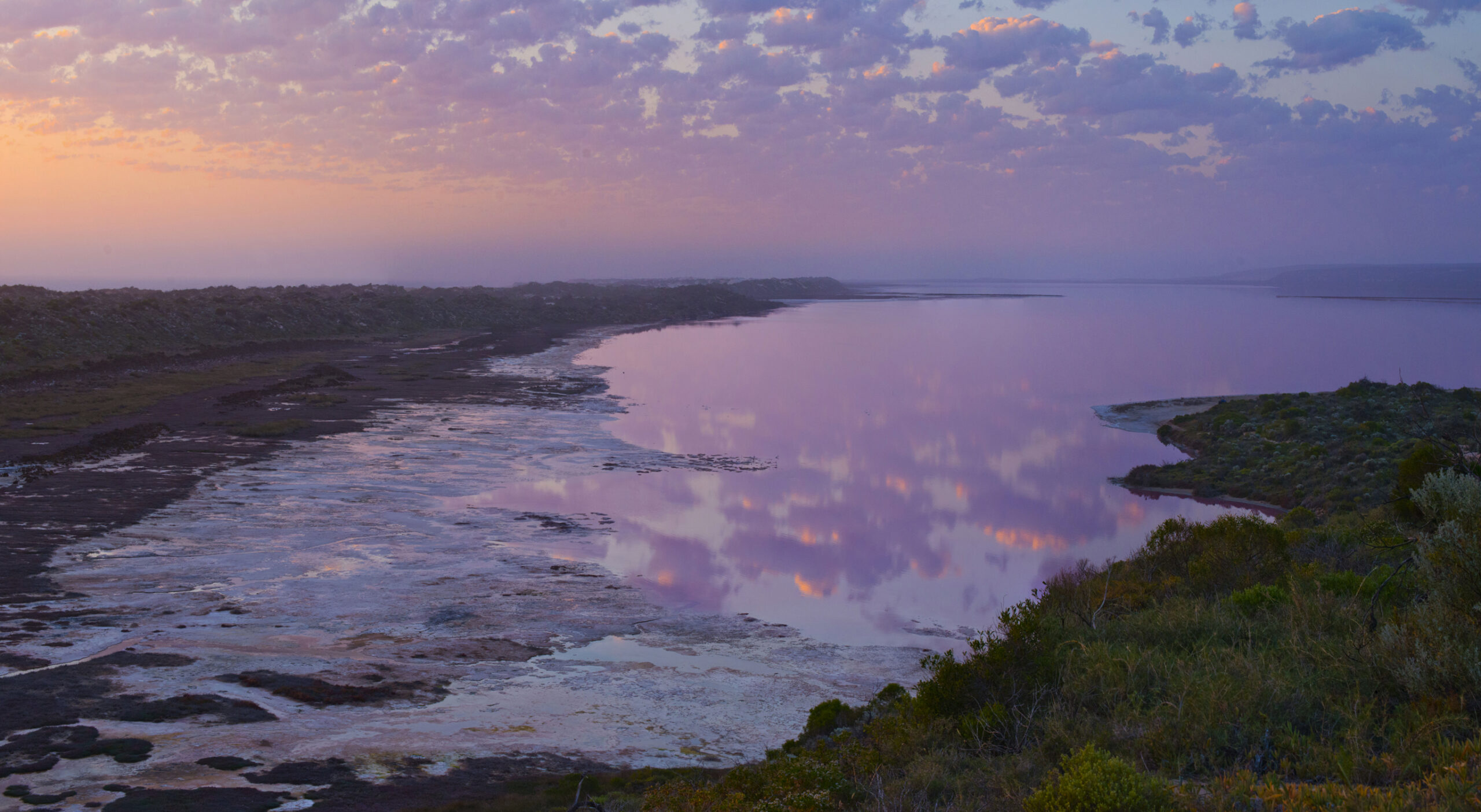 Pink Lake Buggy Tour