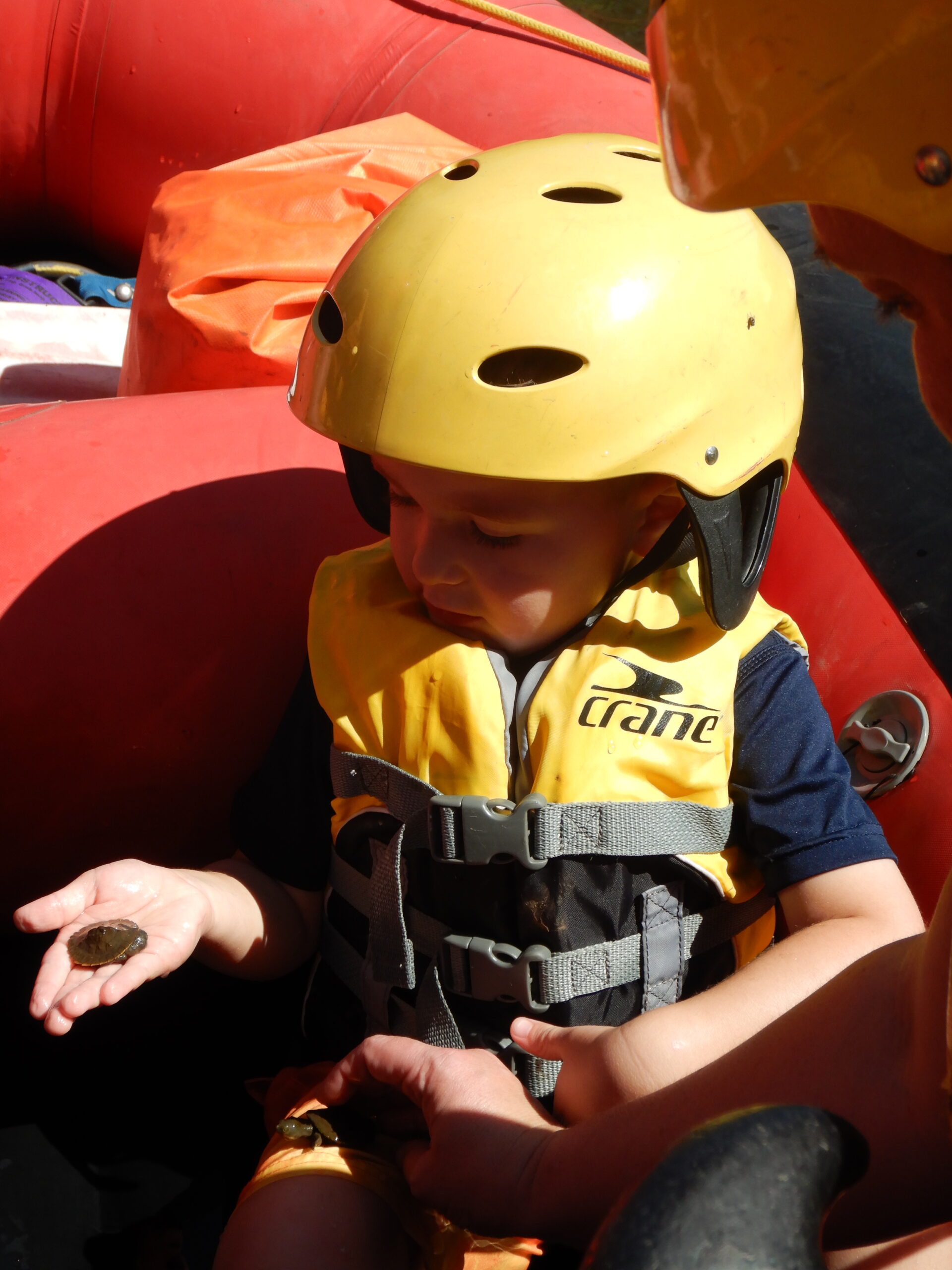 Family Whitewater Rafting & Tubing - day trip - Including Meals & Transfers