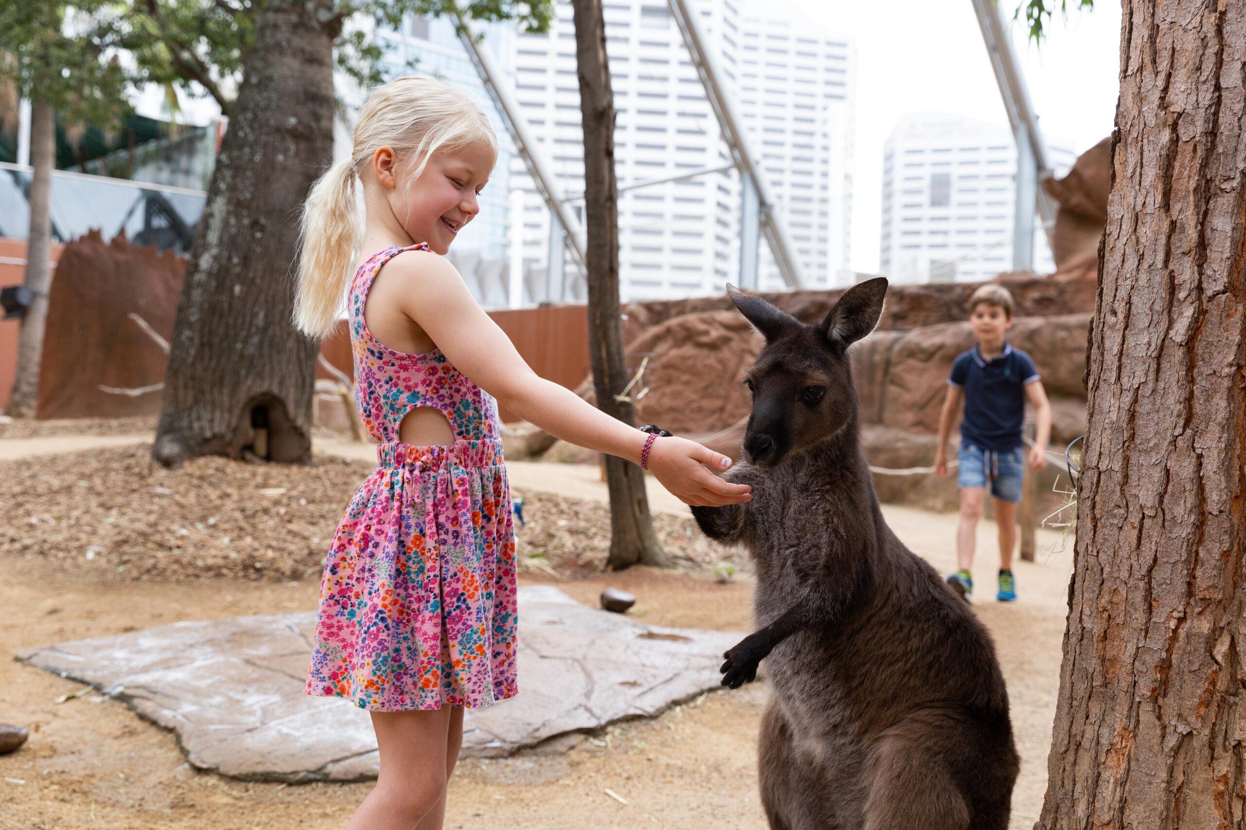 WILD LIFE Sydney Zoo – Daily Offpeak