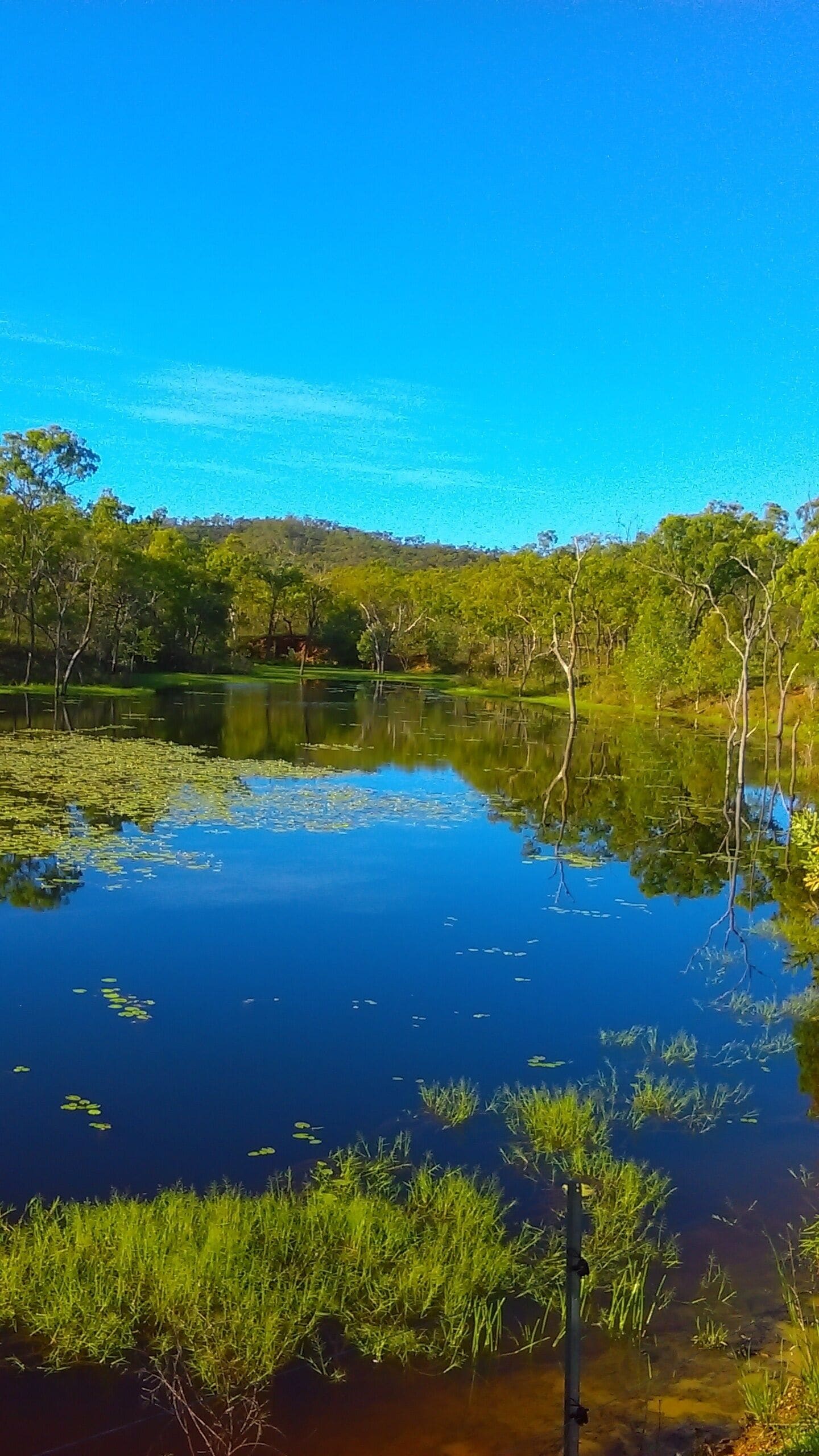 Ironbark House Dimbulah: Boutique Two Bedroom House looking over the Outback