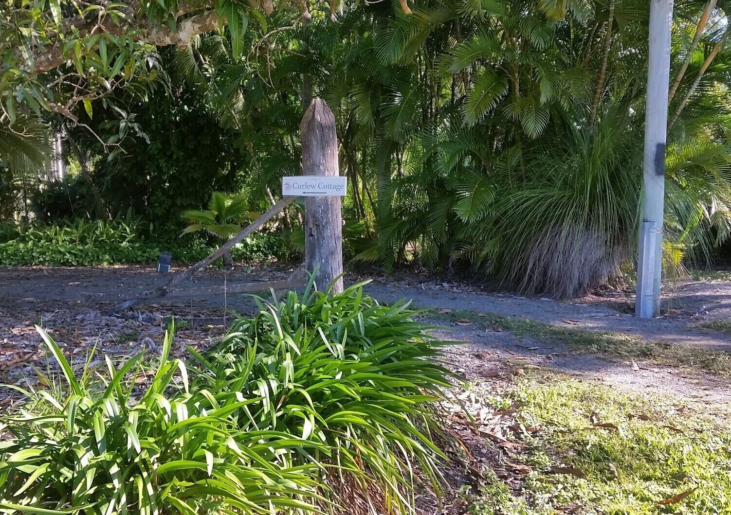 Curlew Cottage - Wildlife Haven