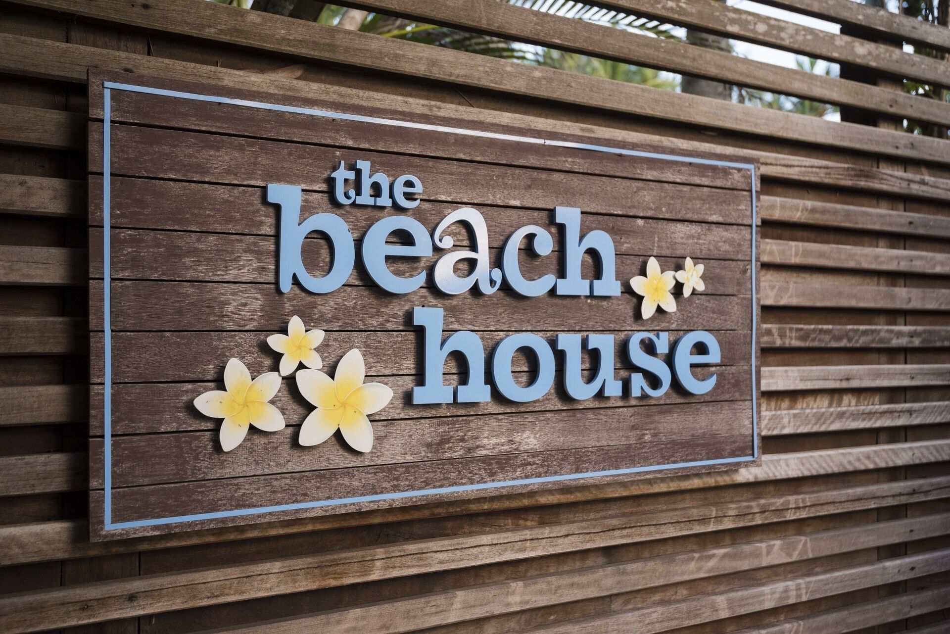 The Beach House on Newell - Absolute Beachfront