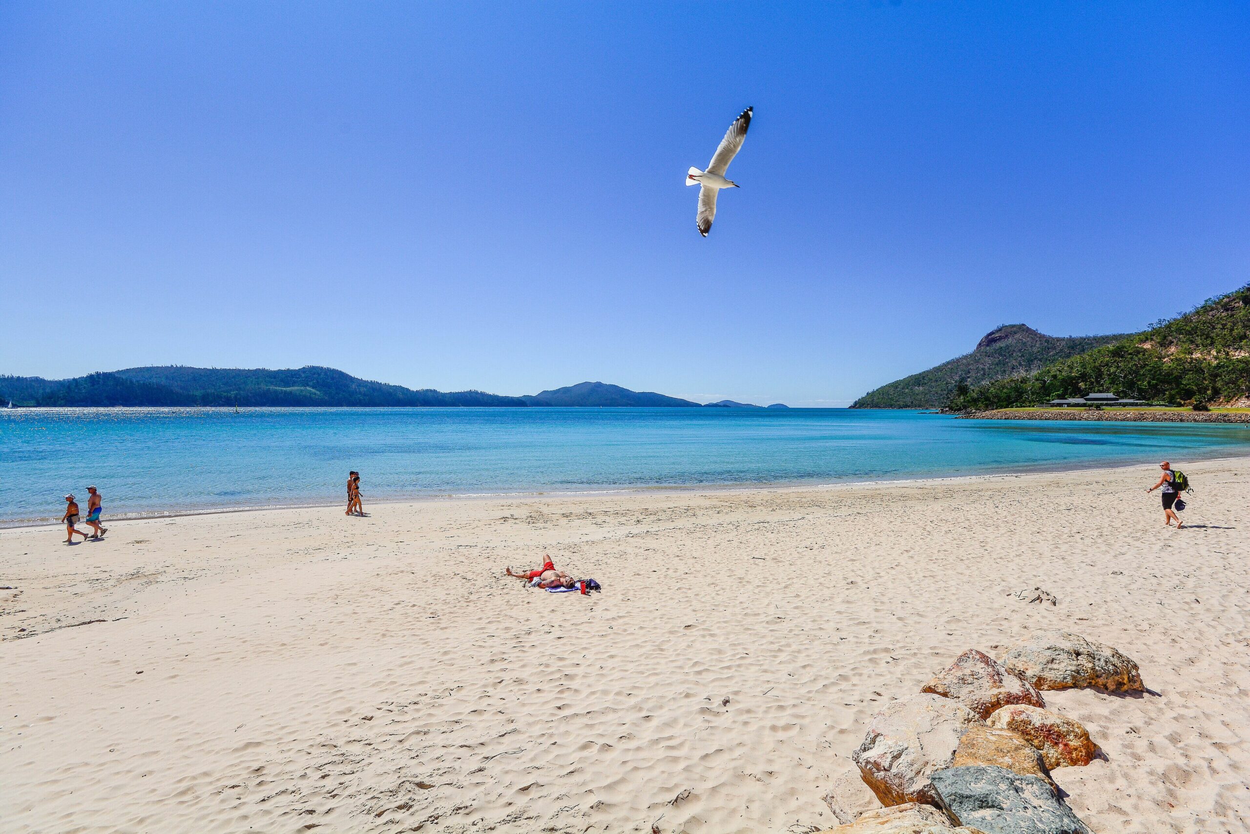 Beach Front Hamilton Island