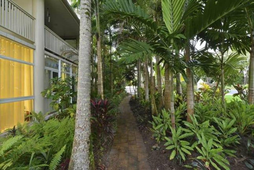 Tropical Palms at Port Douglas