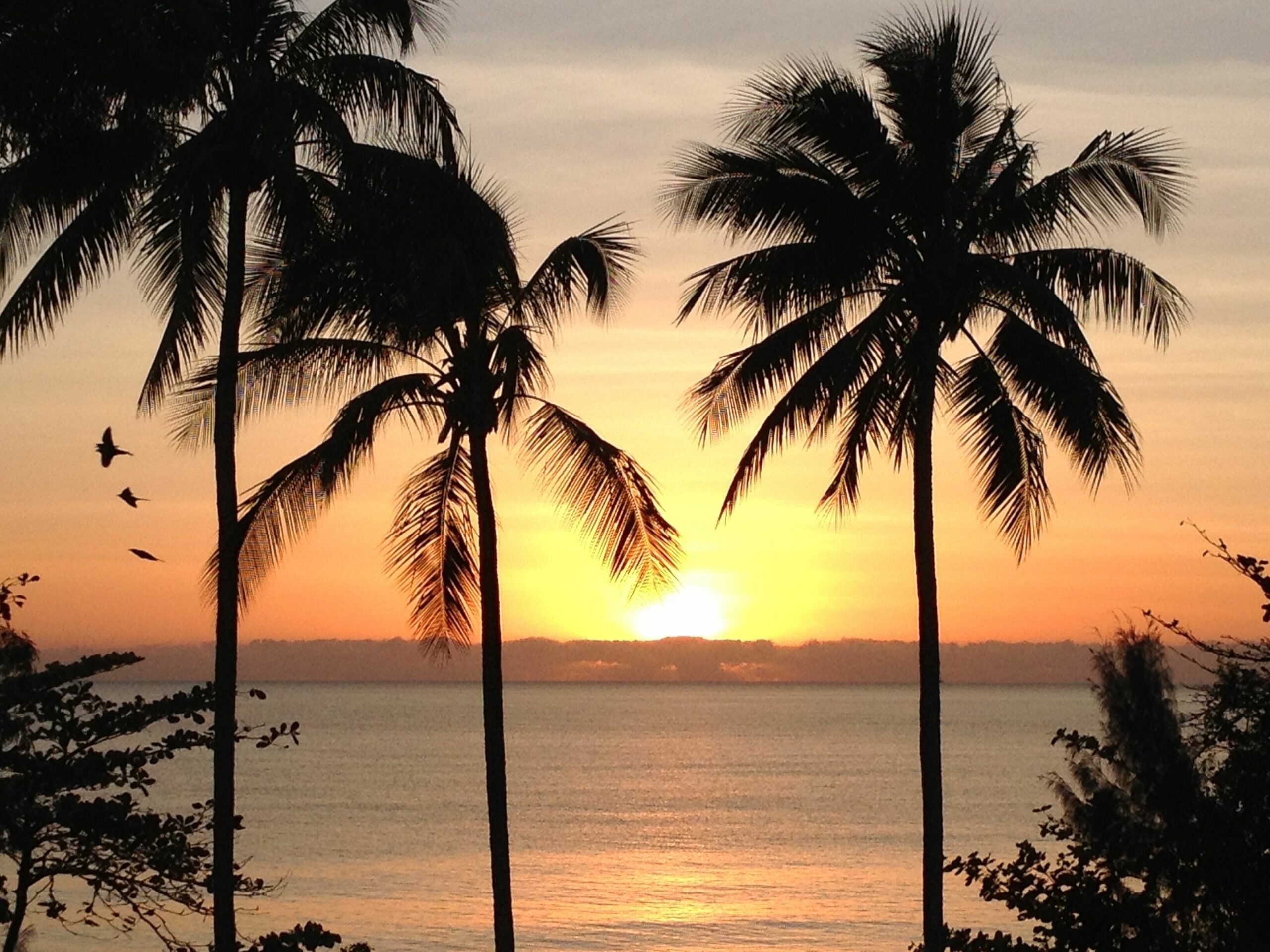 Casa Bella Vista - Luxury Beachfront Home near Great Barrier Reef