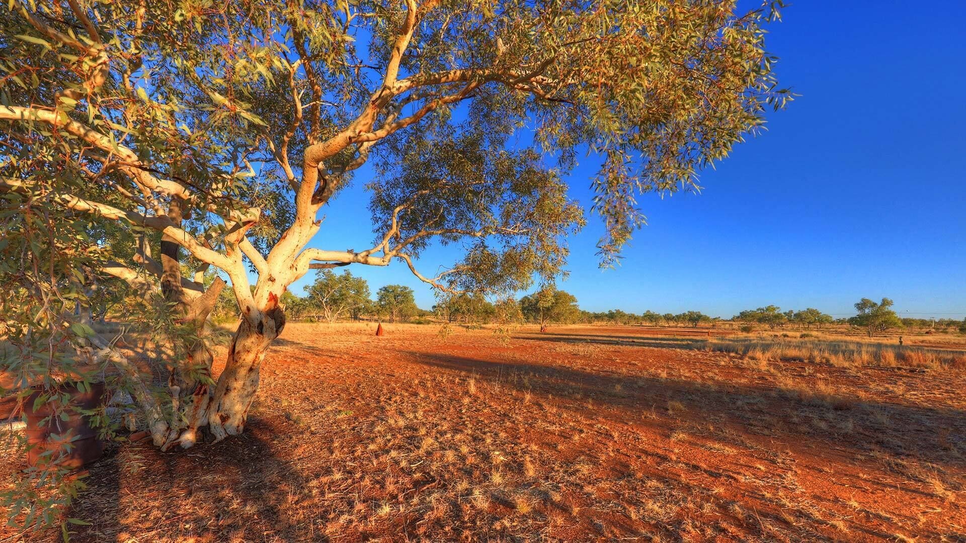 Halls Creek Motel