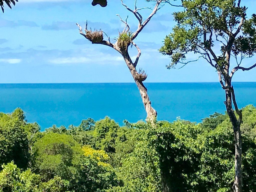 Daintree Magic Holiday House