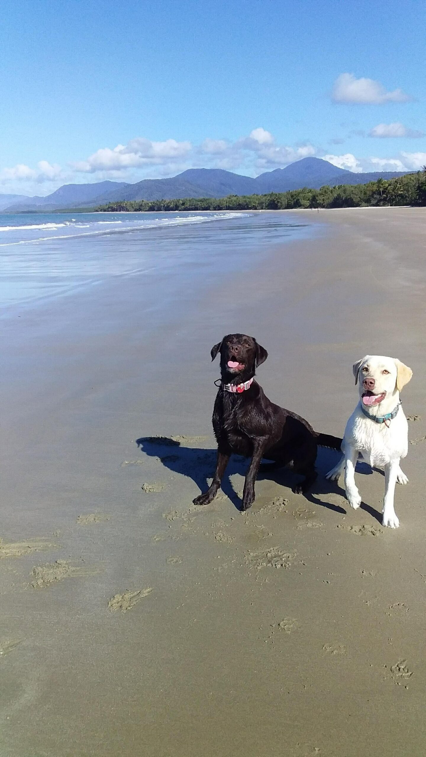 Sandy Feet Sanctuary - 400m to Beach