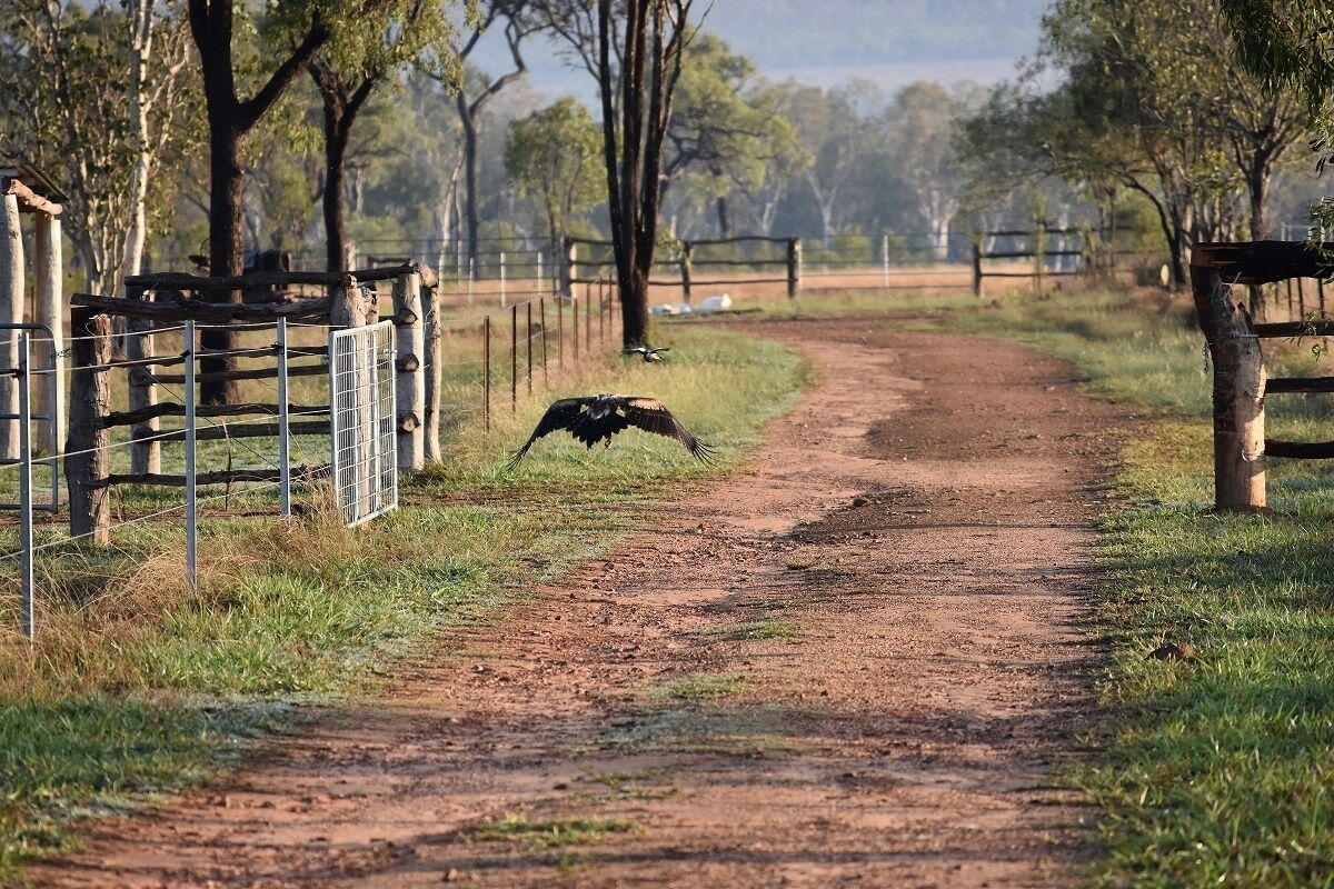 Ironbark House Dimbulah: Boutique Two Bedroom House looking over the Outback