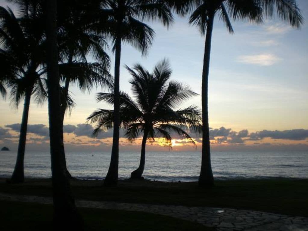 Paradise IN THE Tropics ~ Palm Cove