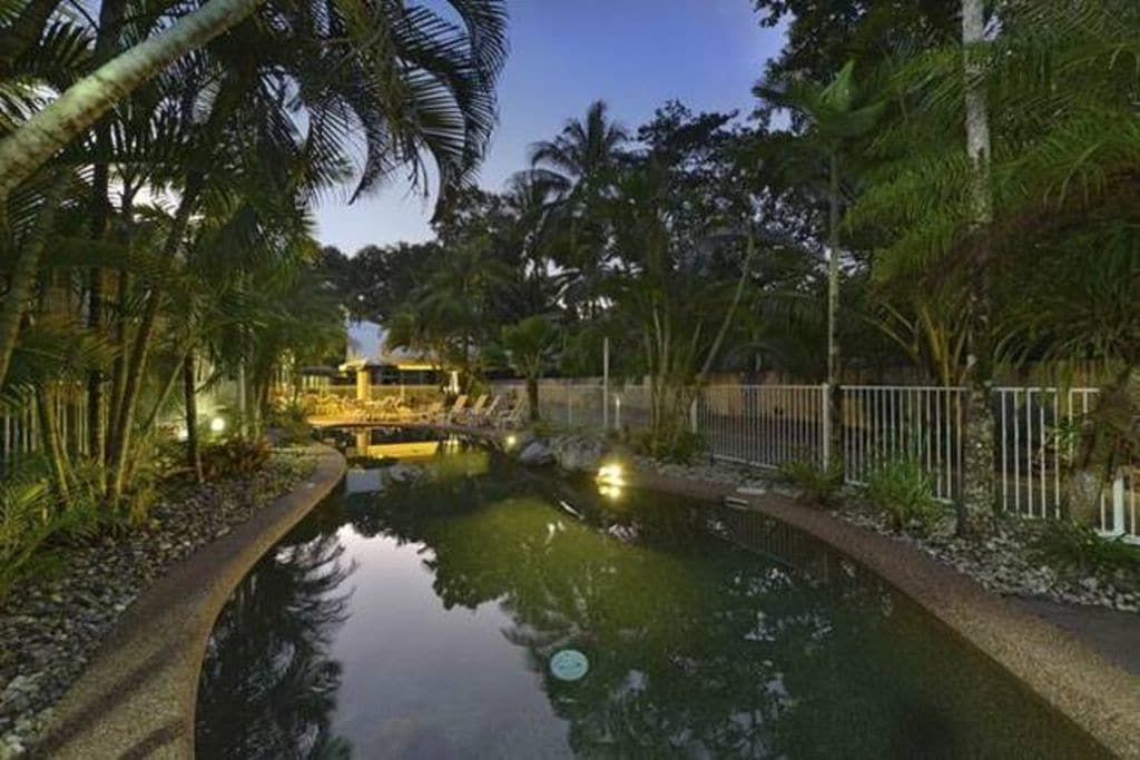 Tropical Palms at Port Douglas