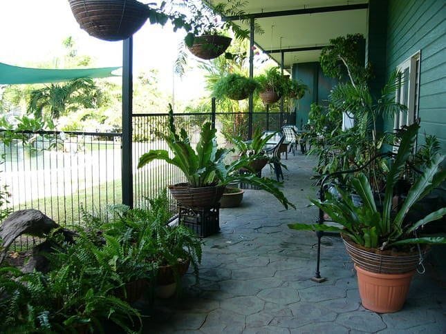 Daintree Wild Bed and Breakfast