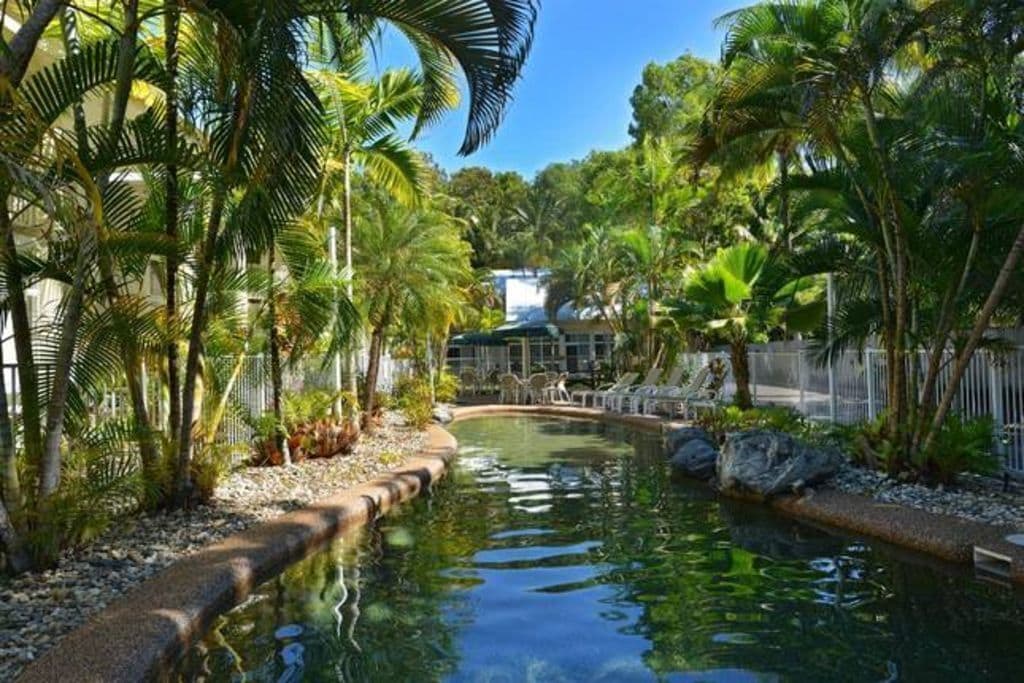 Tropical Palms at Port Douglas