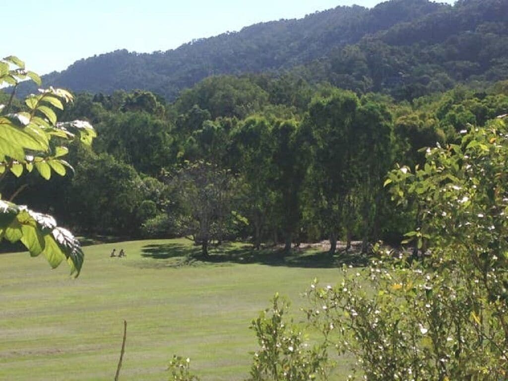 Mountian & Parkland Views – Resort – Cairns