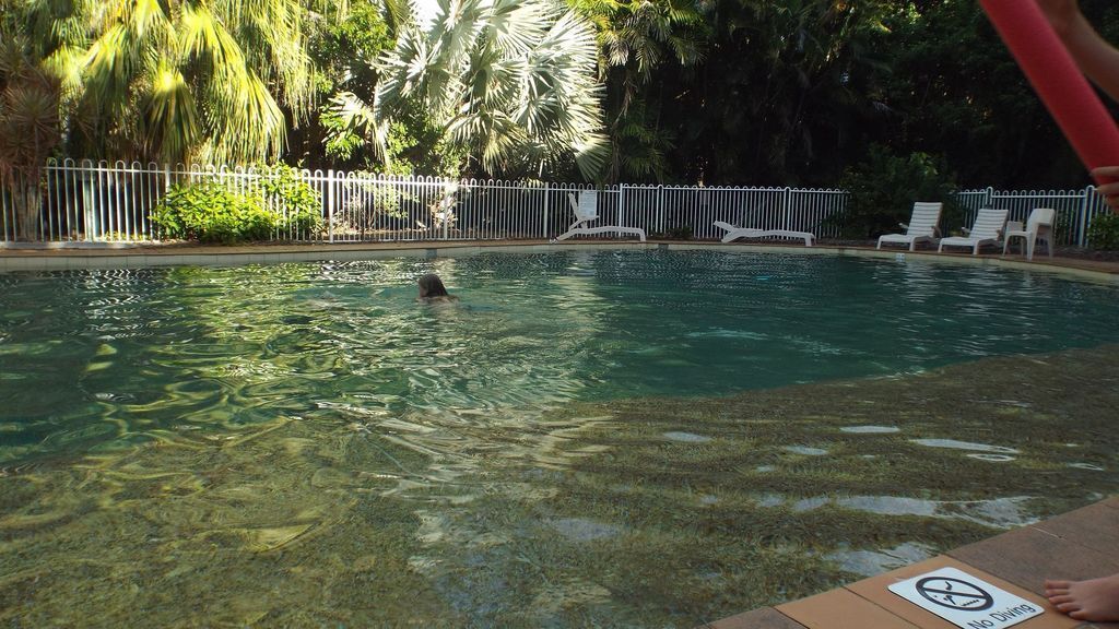 Crae Cowrie, Palm Cove