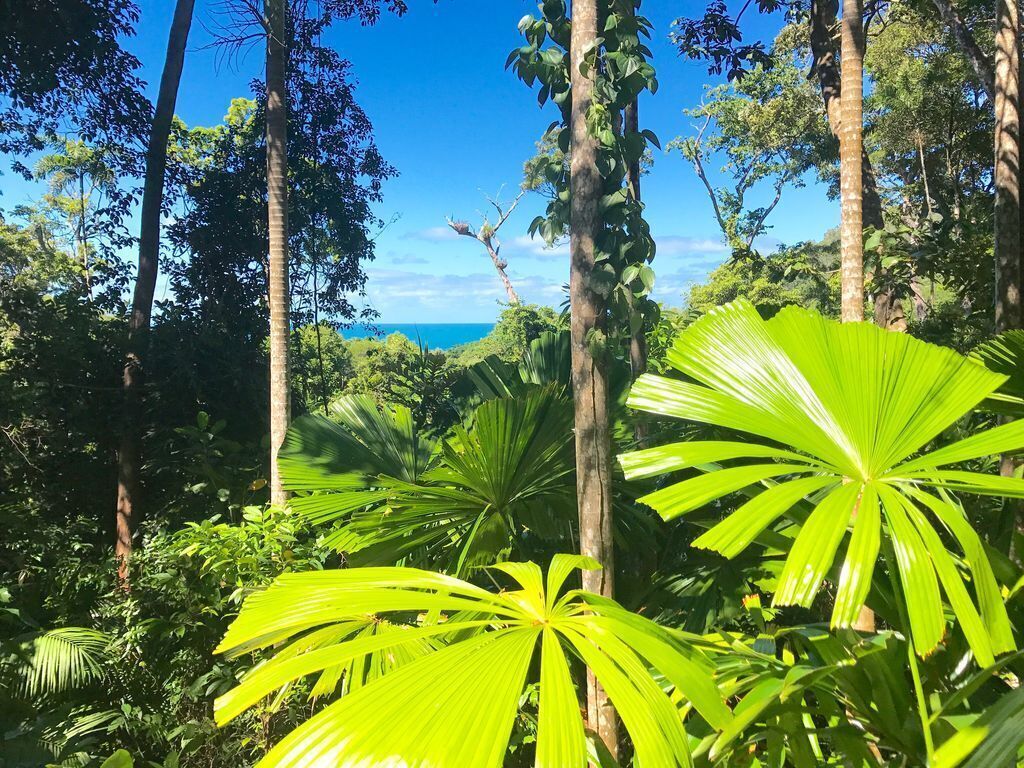 Daintree Magic Holiday House