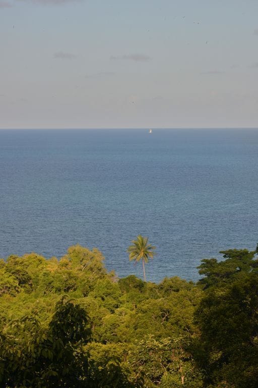 Zamia Daintree Holiday House