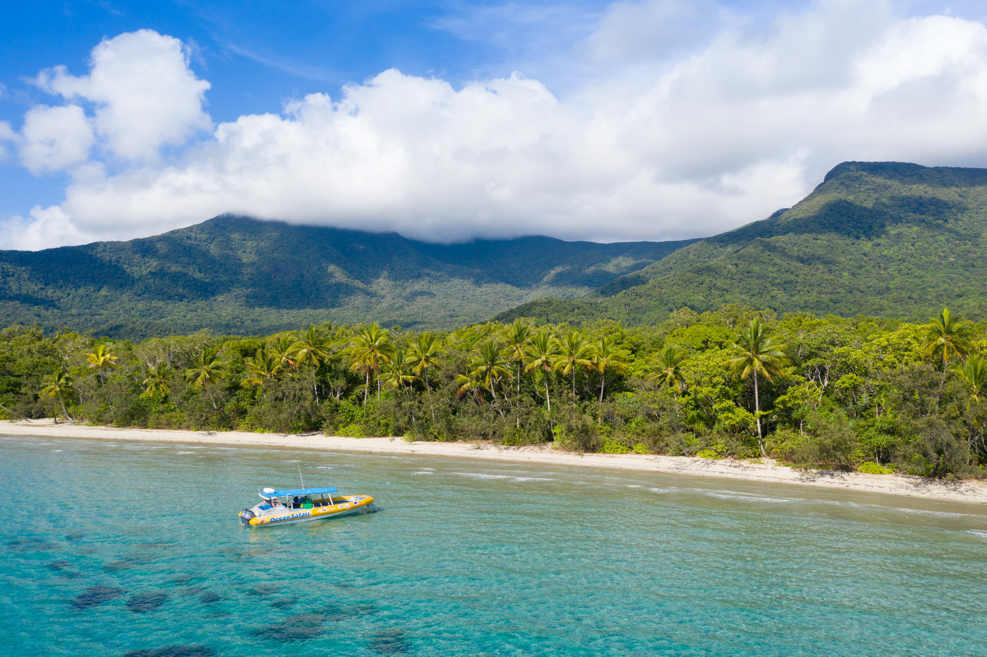 AFTERNOON Ocean Safari Great Barrier Reef Adventure