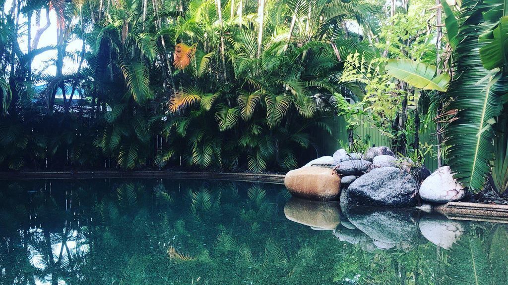 Crystal Palms in Port Douglas