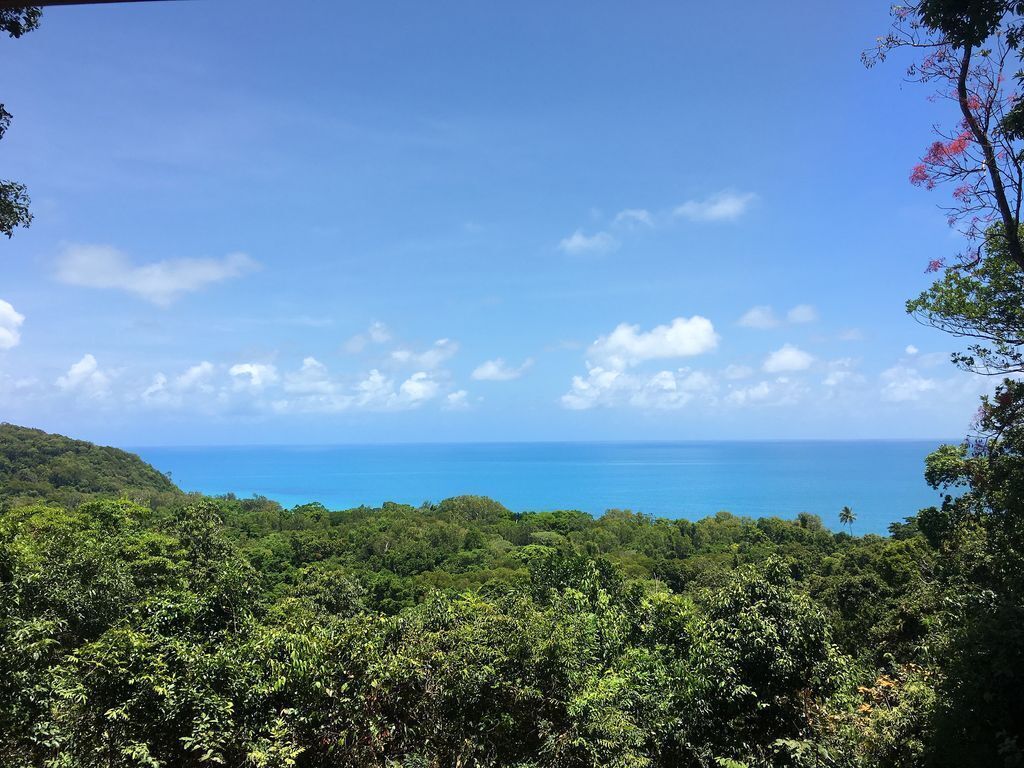 Zamia Daintree Holiday House