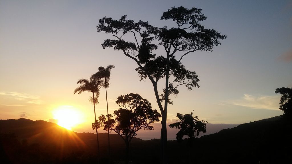 Daintree Holiday Homes - Yurara - Ocean Views and a Luxury Spa Bath for Two