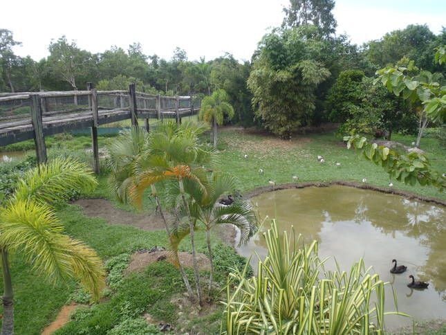 Daintree Wild Bed and Breakfast