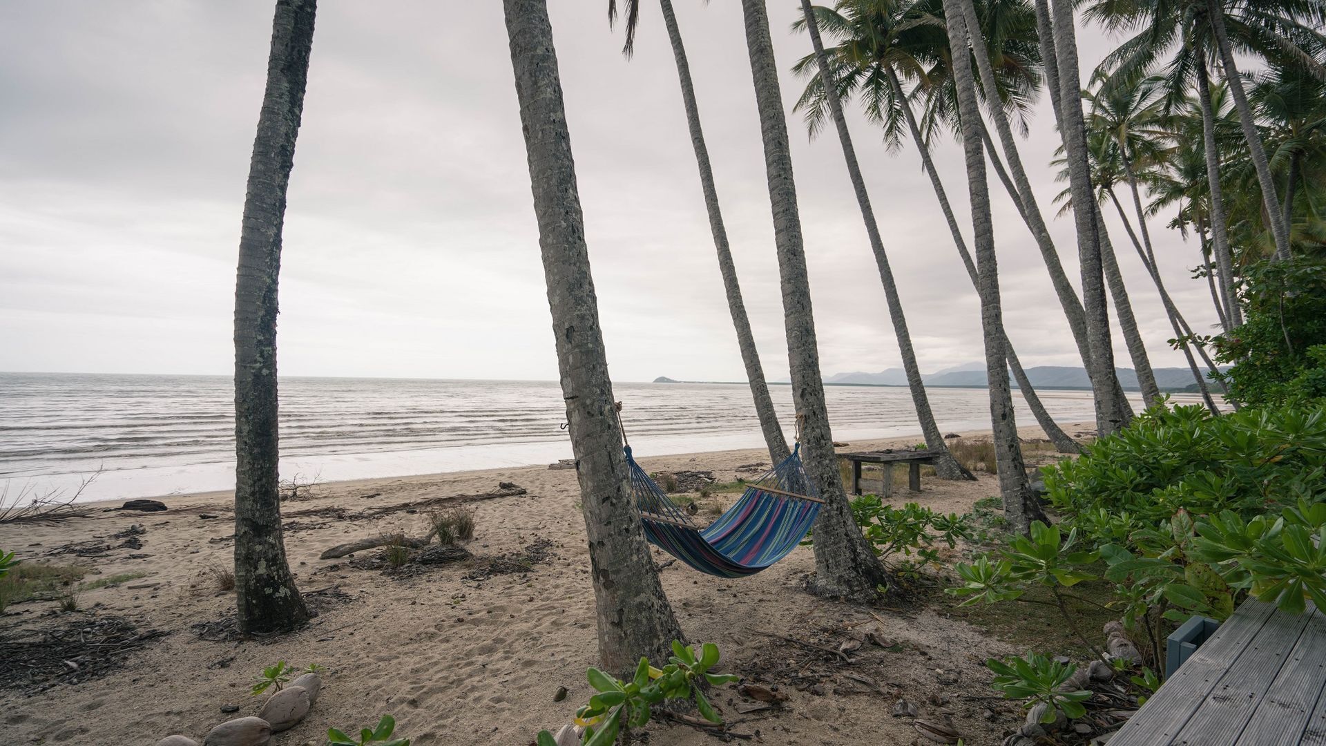 Frangipani Beach House - Absolute Beachfront/ Heated Pool