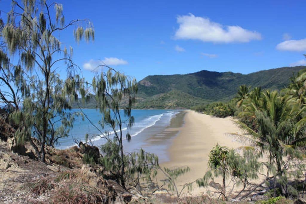 Castaway on Oak Beach