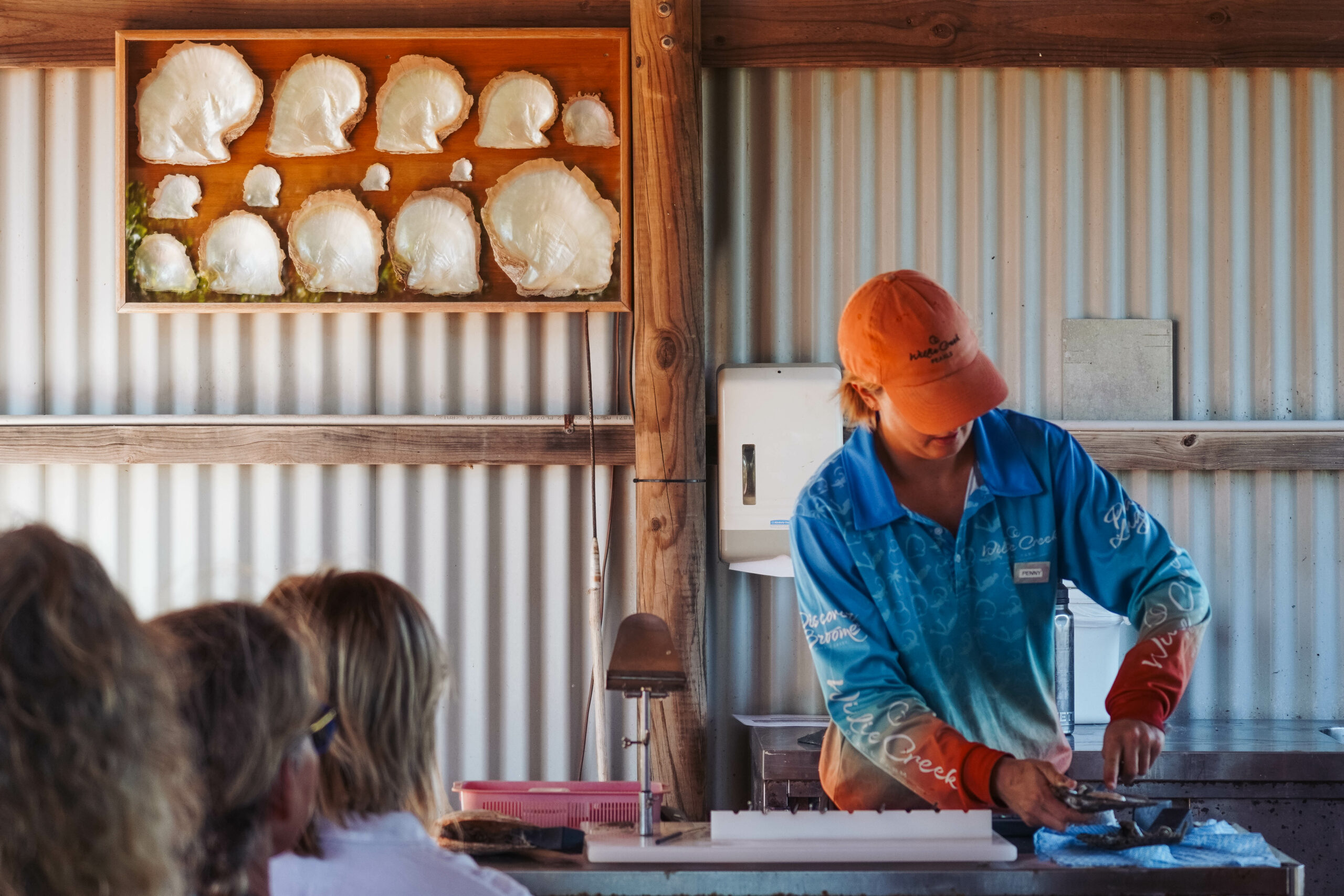 Pearls & Coast flight + Willie Creek Pearl Farm Tour & Lunch ex Broome