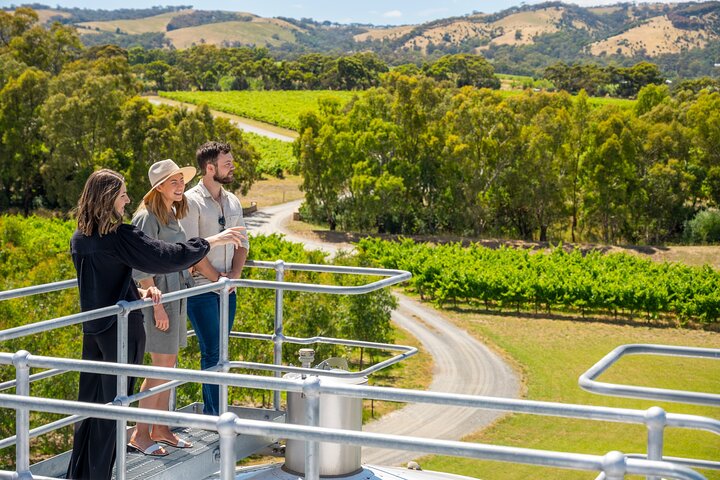 The Ultimate Shottesbrooke Wine & Food Experience