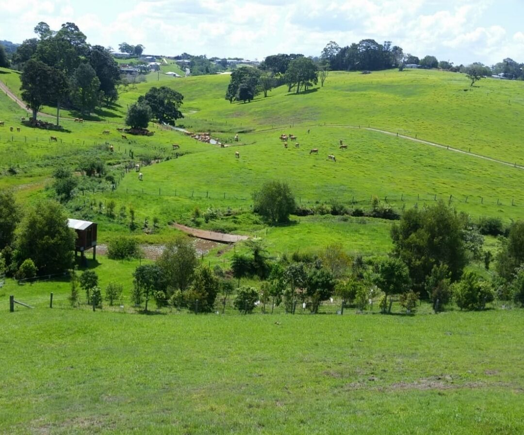 Maleny Clover Cottages