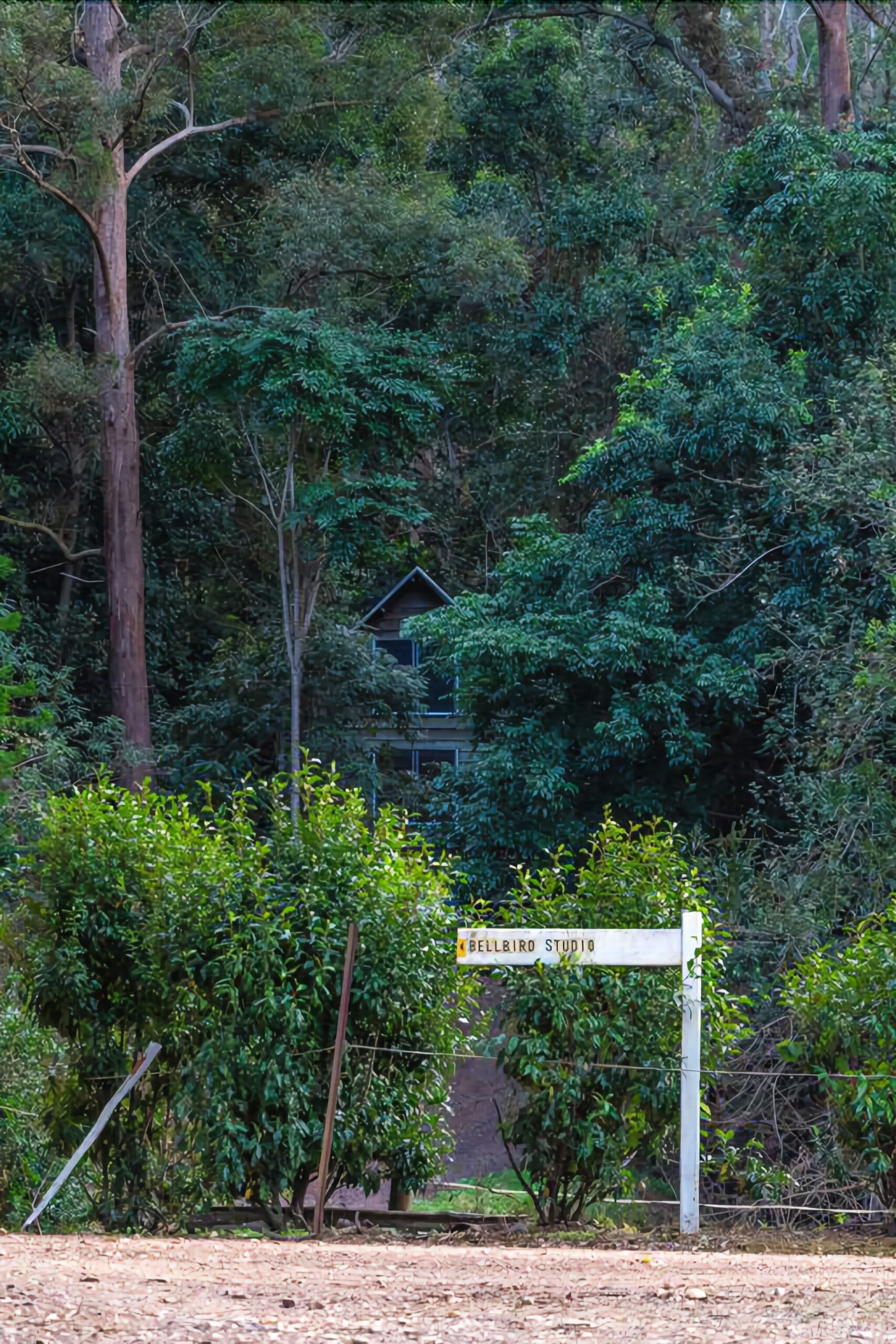 Bellbird Studio, pet Friendly, Glamping Getaway