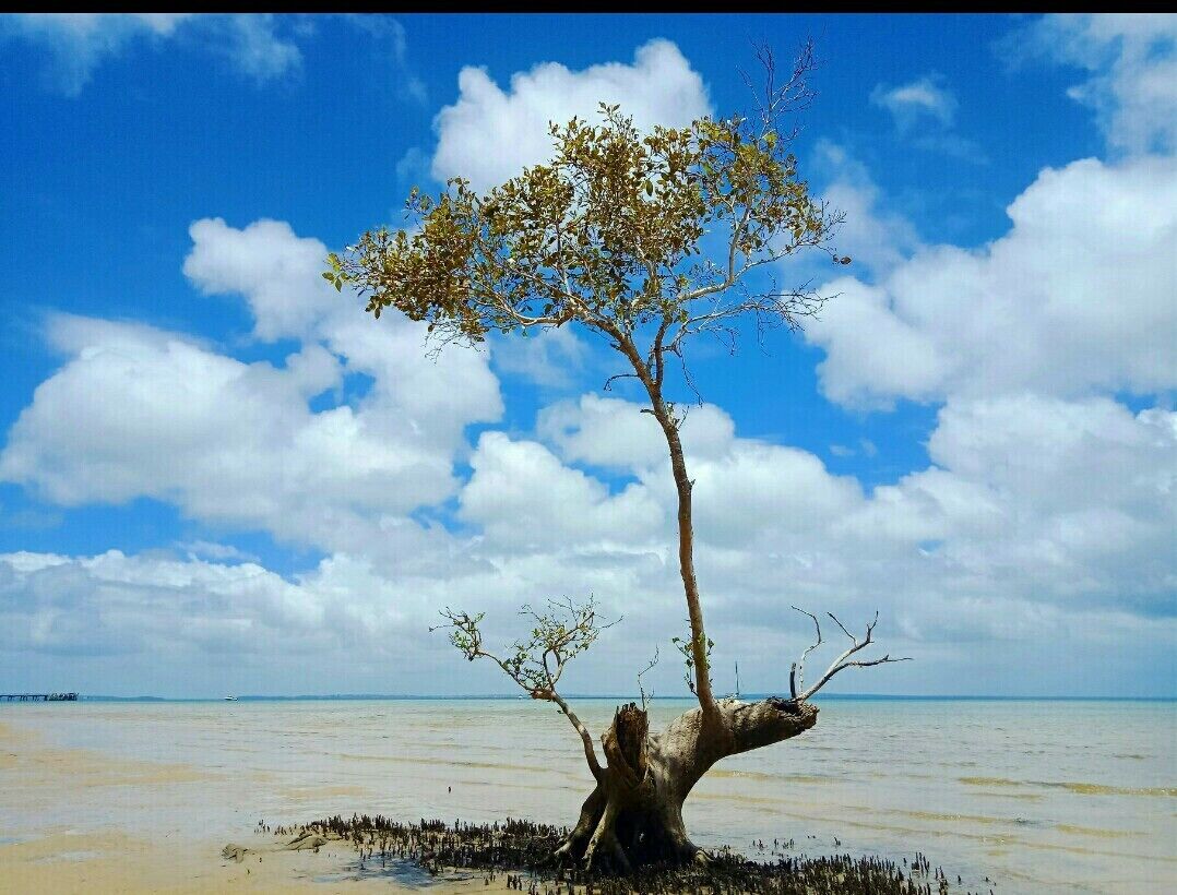 Kingfisherbay Beach Villa,  Fraser Island