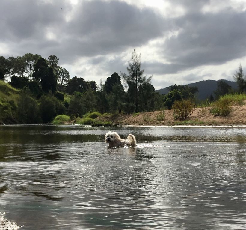 Kenilworth River Oaks on the Mary River - Pet Friendly